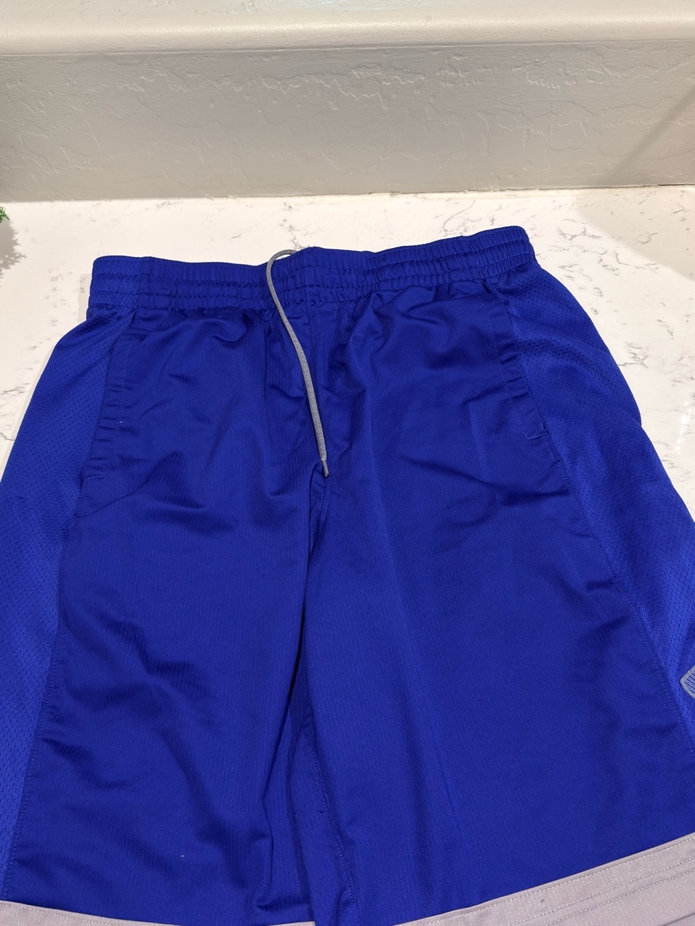 Under Armour Men's Royal Blue Athletic Shorts